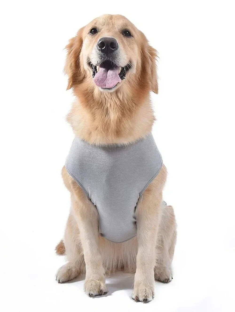 Star Wars R2D2 Dog T shirt
